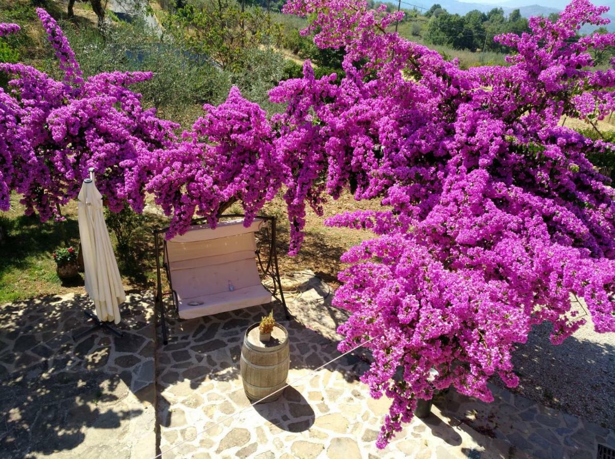 Agriturismo Il Marchese Aquara Exterior foto